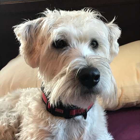 Meet your Posher, Dianna - Picture 1 of 1